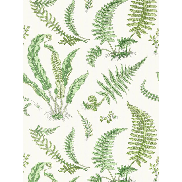 The House of Scalamandré Elsie De Wolfe Wallcovering, Fern For Sale