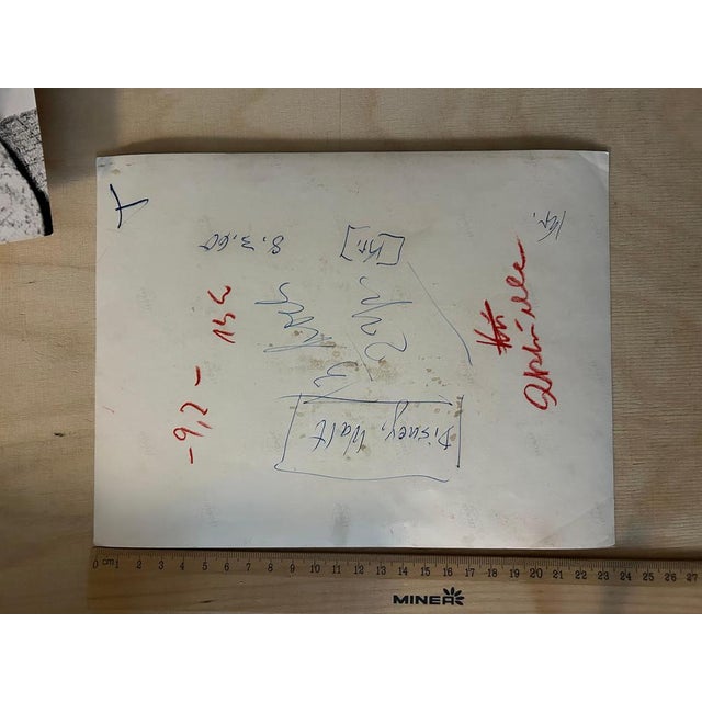 Walter Walt Disney, Original Press Images, 1950s, Photographs, Set of 7 For Sale - Image 4 of 14