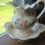 This vintage 1930s British ceramic pitcher and wash basin bowl set features a beautiful floral rose design in the Art Deco...