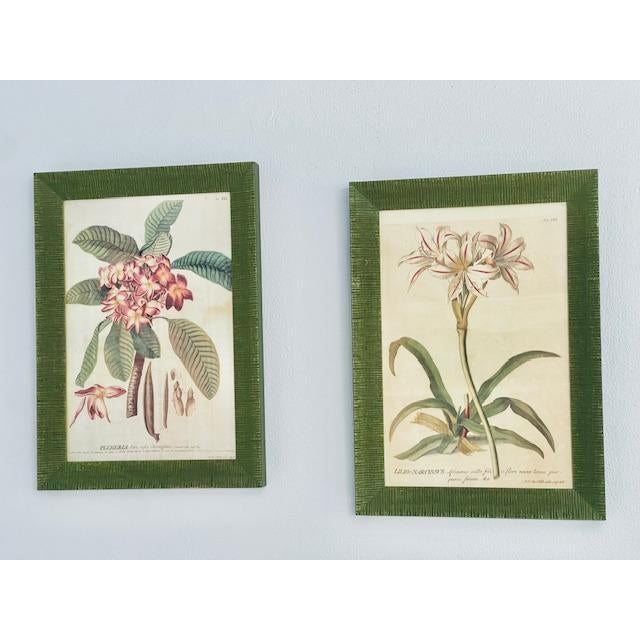 Vintage Wood Framed Botanical Prints For Sale - Image 12 of 12
