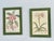 Vintage Wood Framed Botanical Prints For Sale - Image 12 of 12