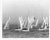 1984 black and white photo of a sailboat race on Tampa Bay. Publication information on the back.