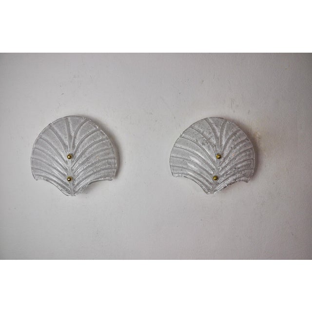 1980s Shell Wall Lights in Frosted Murano Glass, 1980, Set of 2 For Sale - Image 5 of 8