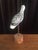 American Vintage Small Long-Billed Shore Bird For Sale - Image 3 of 7