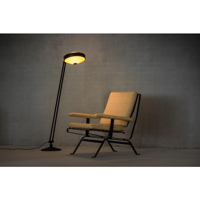 Dione Lounge Chair attributed to Gastone Rinaldi for Rima, Italy, 1957 For Sale - Image 3 of 18