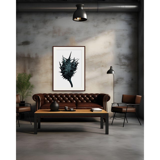 Exclusively available in the U.S. through ART AT HOME, Thorn is a limited edition unframed photograph by contemporary...