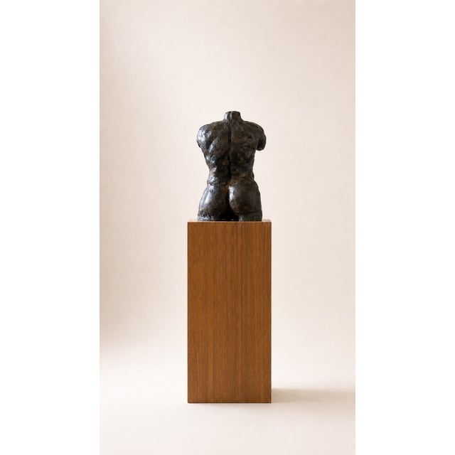 Nude Statue, 1800s, Terracotta For Sale - Image 3 of 7