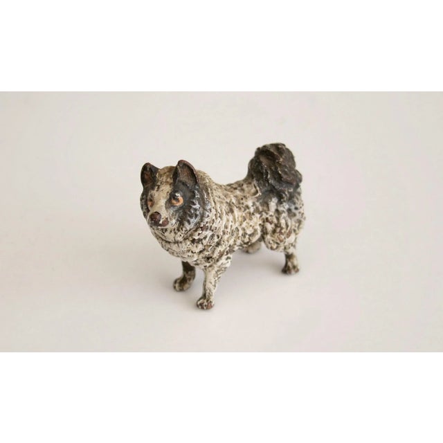 1900 - 1909 Miniature Pomeranian Loulou Figure in Bronze, Vienna, Early 20th Century For Sale - Image 5 of 5