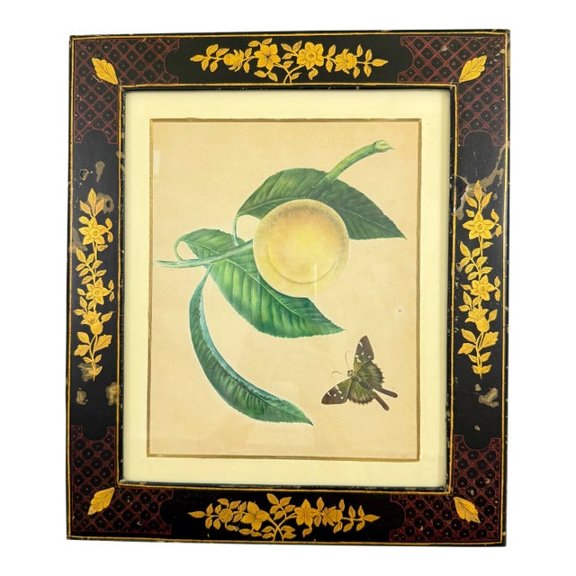 English Regency Period Watercolored Fruit Print in Hand Painted Lacquered Frame For Sale