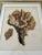 Nautical Coral Specimen Framed Print For Sale - Image 3 of 4