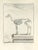 The Skeleton is an etching made by Antoine Defehrt in 1771. It belongs to the suite "Natural, general and particular...