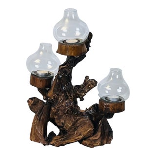 Large Varnished Driftwood and Hurricane Glass Candelabra For Sale
