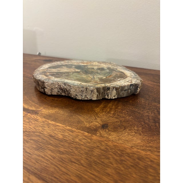 15th Century & Earlier Vintage Petrified Wood Specimen Slab Catchall Tray, Sculptural Decor For Sale - Image 5 of 7