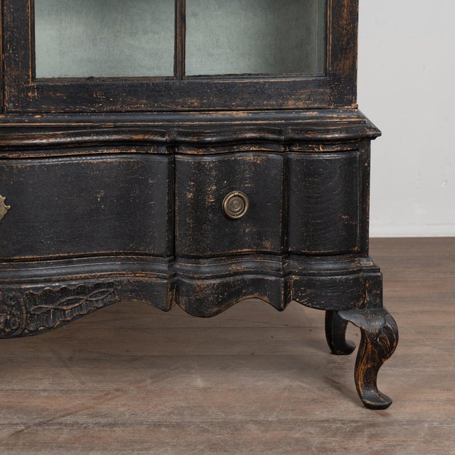 19th Century Danish Black Painted Oak Display Cabinet Vitrine Bookcase For Sale - Image 15 of 16
