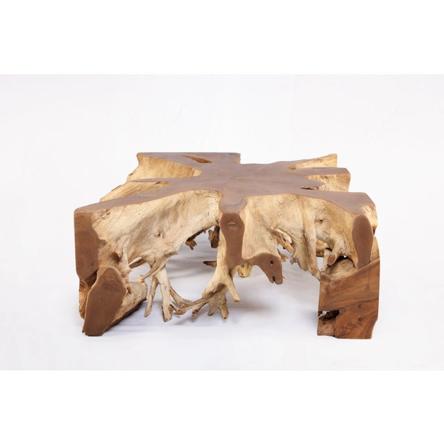 Square 36" Inch Organic Teak Root Coffee Table 55 For Sale In Boston - Image 6 of 6