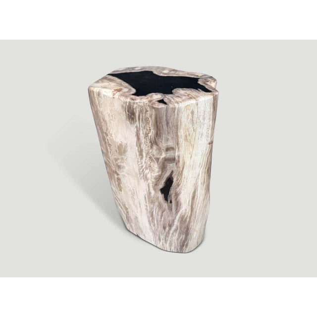 Andrianna Shamaris Abstract High Quality Petrified Wood Side Table For Sale - Image 4 of 5