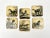 1950s Lacquered Wood Horse Coasters, Italy, 1950s, Set of 6 For Sale - Image 5 of 18