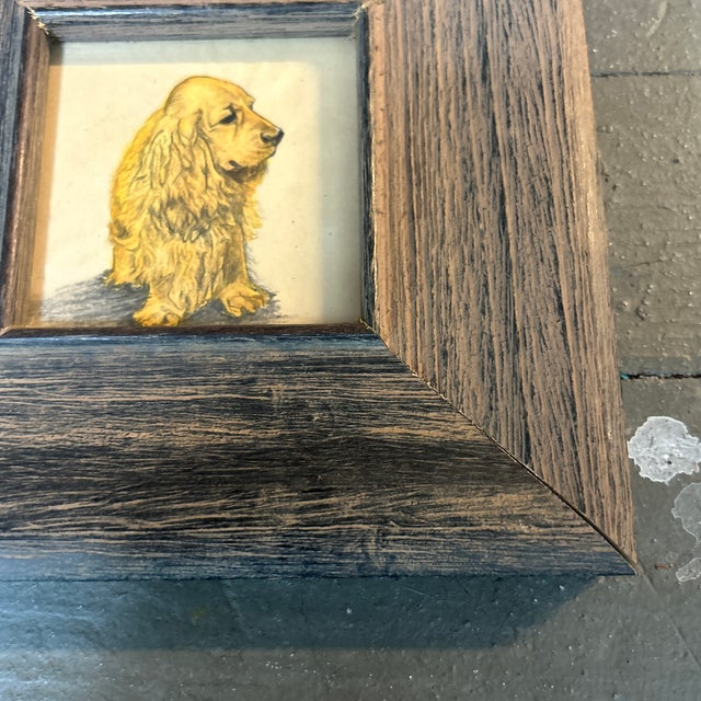 Realism 1970’s Small Cocker Spaniel Watercolor / Pencil Drawing For Sale - Image 3 of 4