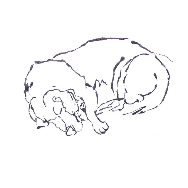 Contemporary Beagle Sleep For Sale - Image 3 of 4