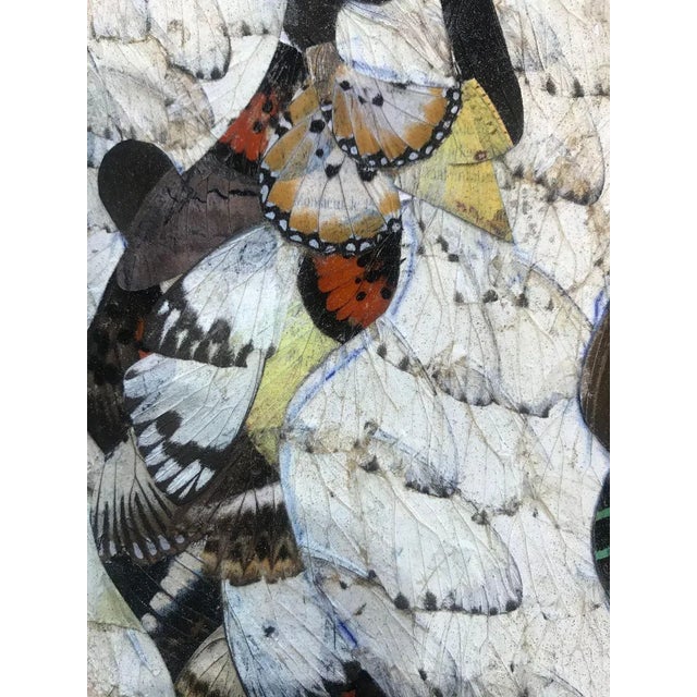 Moluh Seidou, Beautiful and Precious Butterfly Wings, 2017, Paper For Sale - Image 4 of 6