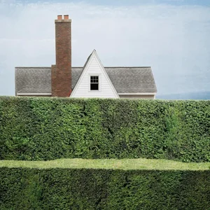 "Privacy #4" Contemporary Landscape Photograph by Carol Erb
