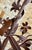 Vintage Italian Tôle Chandelier With Rustic Metal Leaves and Floral Motifs Accented With Crystals, 6 Lights For Sale - Image 11 of 12