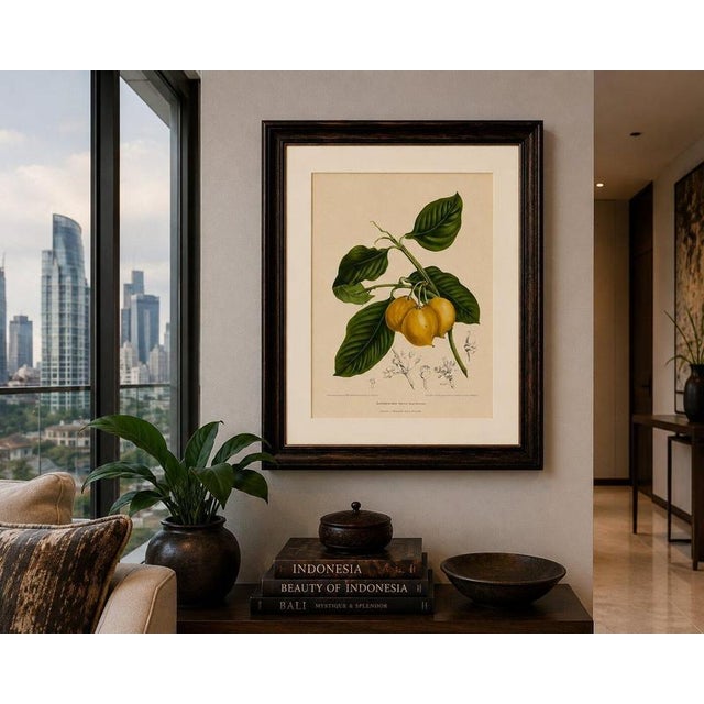 Paper Berthe Hoola van Nooten, False Mangosteen, 1880, Chromolithograph For Sale - Image 7 of 9