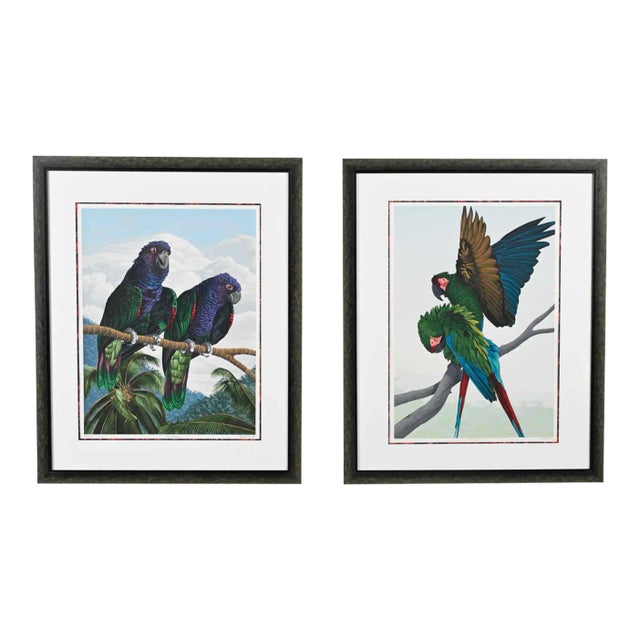 Vintage Dallas John Limited Edition Hand Signed Imperial Mates & Military Macaws Fine Art Serigraph Parrots For Sale