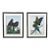 Vintage Dallas John Limited Edition Hand Signed Imperial Mates & Military Macaws Fine Art Serigraph Parrots For Sale