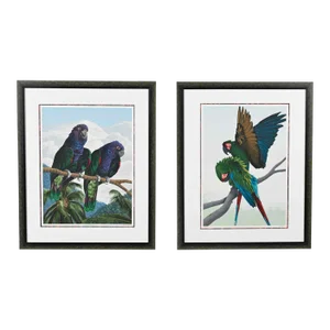 Vintage Dallas John Limited Edition Hand Signed Imperial Mates & Military Macaws Fine Art Serigraph Parrots