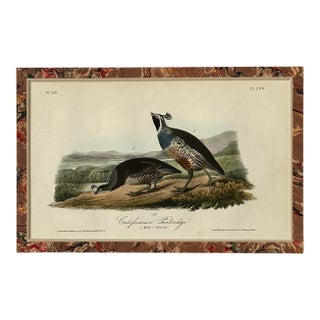 California Patridge Original 1st Edition Print by John James Audubon, 1842 For Sale