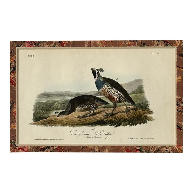 California Patridge Original 1st Edition Print by John James Audubon, 1842 For Sale