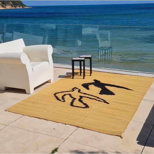 Asfour Bird Fiber Art Rug – Handwoven Tunisian Wall Art, Indoor Outdoor For Sale - Image 6 of 12