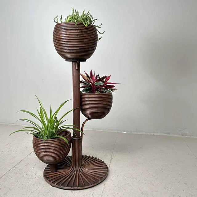 Rattan Plant Stand, 1970s For Sale - Image 13 of 13