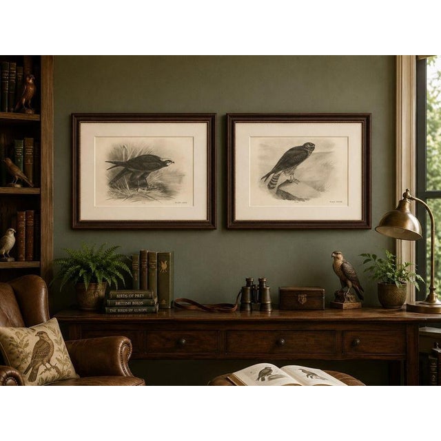 Brown Stonham, Marsh and Hen Harrier Bird, 1908, Monochrome Ornithological Plates, Set of 2 For Sale - Image 8 of 9