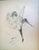 Marcel Vertès, Cabaret Dancer (ala Toulouse Lautrec) For Sale