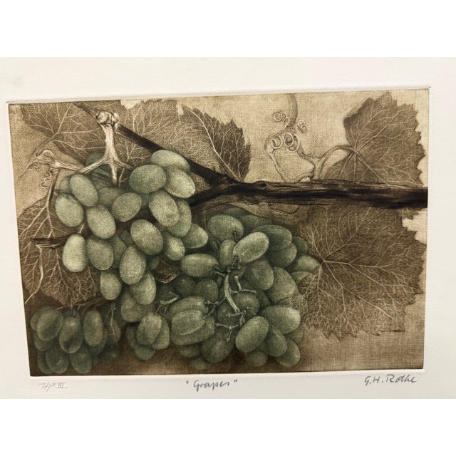 "Grapes " Original Limited Edition Mezzotint by G. H. Rothe Hand signed, titled and numbered by the artist Image Size:...