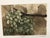 "Grapes " Original Limited Edition Mezzotint by G. H. Rothe Hand signed, titled and numbered by the artist Image Size:...