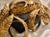French Rare 19th Century Ornate French Gilt Bronze Acanthus Leaf Curtain Rings Set For Sale - Image 3 of 6