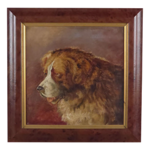 Portrait of a Saint Bernard, England Circa 1880