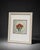 Farmhouse Framed Floral Poinsettia Wall Art in Ornate White Frame For Sale - Image 3 of 4