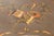 Tan French 1950s Painted Trumeau Wall Mirror With Floral & Instrument Motif | Carved Wood Frame For Sale - Image 8 of 18