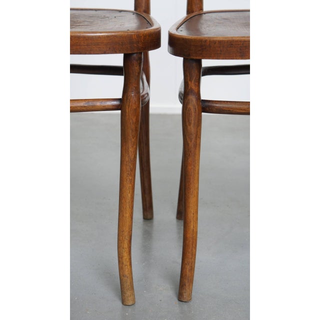 Antique Bentwood Chairs with Carvings by Jacob and Josef Kohn for Thonet, Set of 4 For Sale - Image 13 of 18