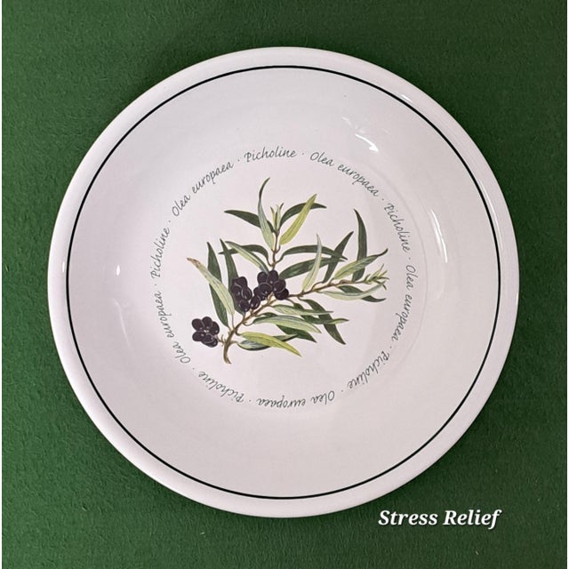 Ceramic Mediterranean Williams Sonoma Olea Europaea Botanical Olive Serving Bowl Set - 5 Pieces For Sale - Image 7 of 14
