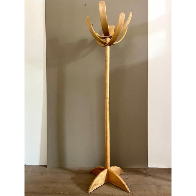 Cactus Coat Rack by Mauro Pasquinelli for Pallavisini, 1970s For Sale - Image 3 of 13