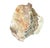 Mid 20th Century Natural Petrified Wood Specimen #4 For Sale - Image 5 of 9