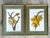 Late 20th Century Vintage Ehret Botanical Plates - Set of 2 For Sale - Image 5 of 12