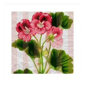 Antique Pink Pansies Archival Print