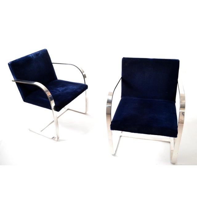 Mies Van Der Rohe for Knoll Stainless Steel Brno Chairs Blue Velvet 1977, Pair For Sale - Image 10 of 13