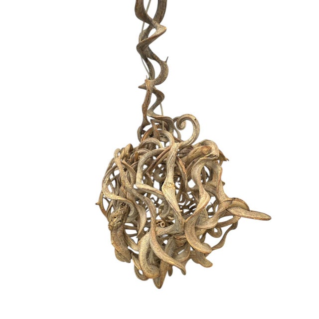 Modern Hand-Crafted Organic Vine Root Pendant Lamp, 1980s For Sale - Image 3 of 14